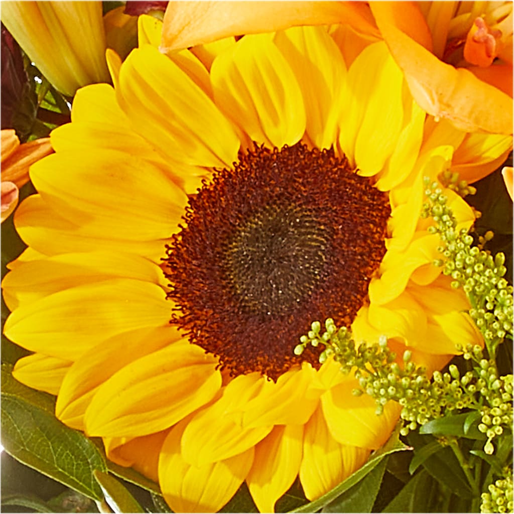 Seasons Change Bouquet –  Safeway, Pleasanton CA