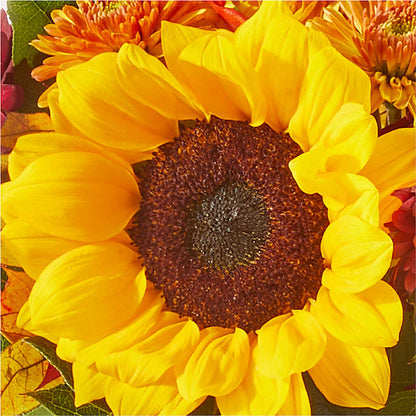 Sunny Side Bouquet –  Safeway, Pleasanton CA