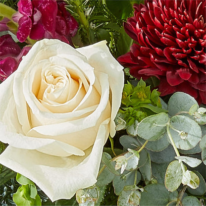 Cranberry Fizz Bouquet –  Safeway, Pleasanton CA
