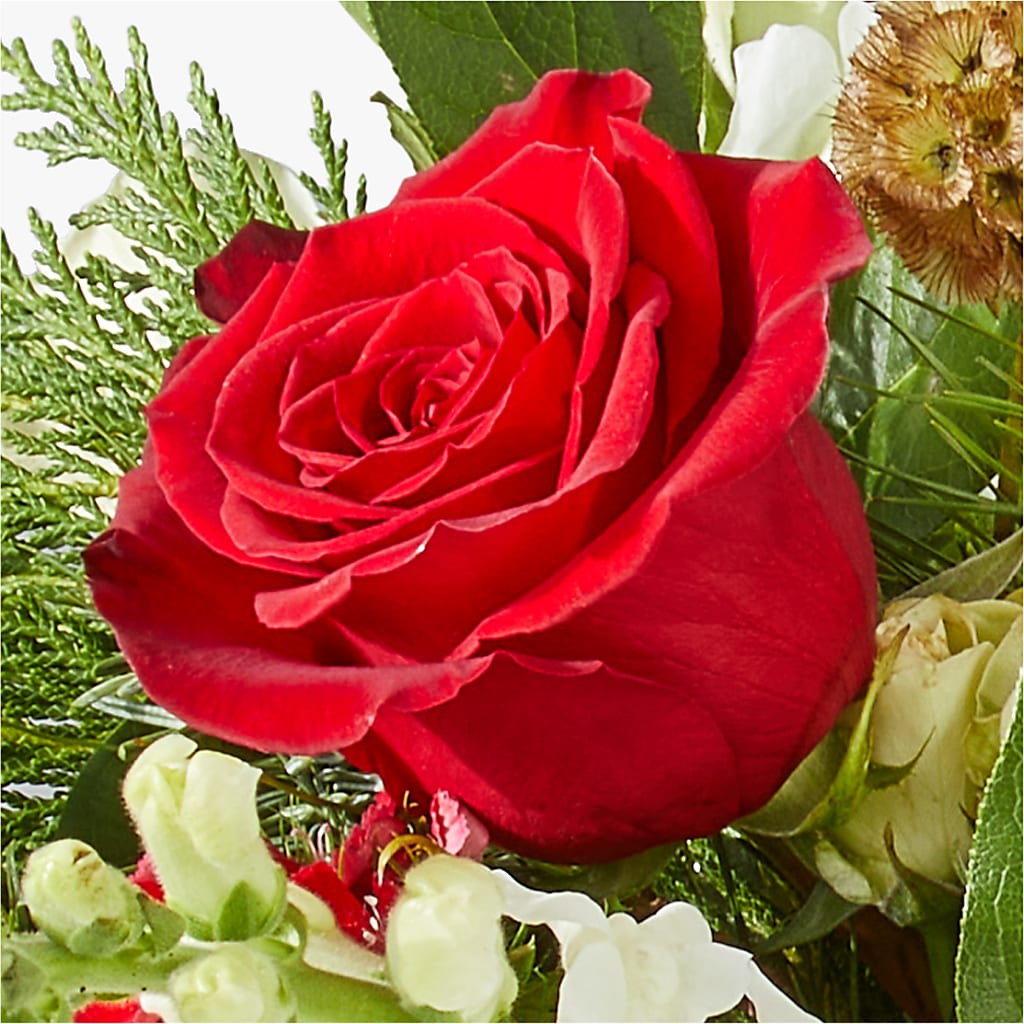 Deck the Halls Bouquet –  Safeway, Pleasanton CA