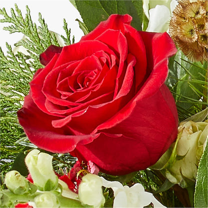 Deck the Halls Bouquet –  Safeway, Pleasanton CA