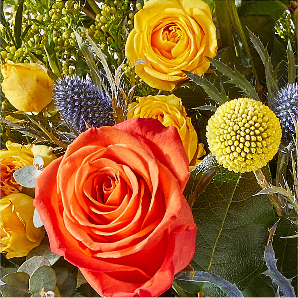Disco Bouquet –  Safeway, Pleasanton CA