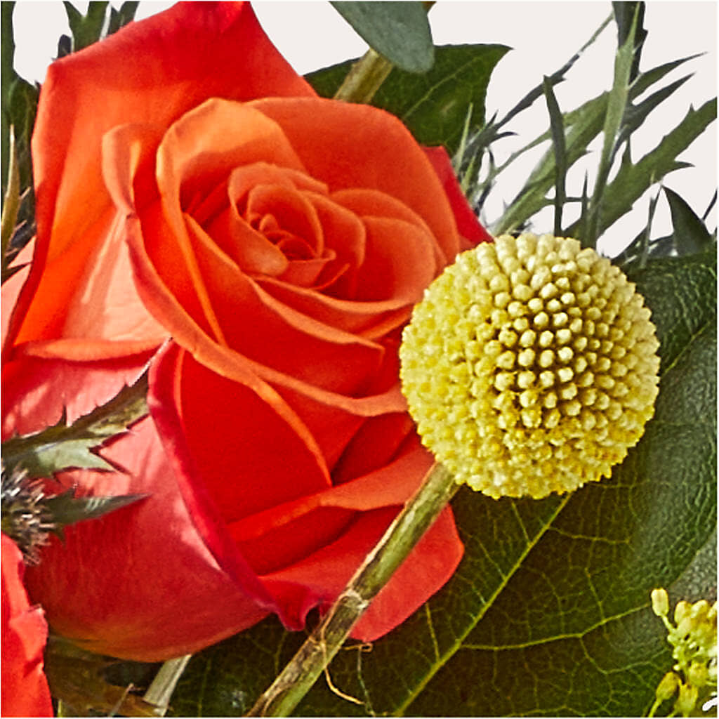 Disco Bouquet –  Safeway, Pleasanton CA