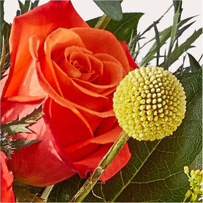 Disco Bouquet –  Safeway, Pleasanton CA