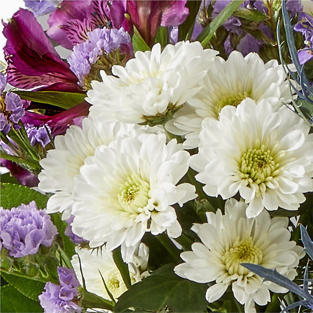 Shooting Star Bouquet –  Safeway, Pleasanton CA