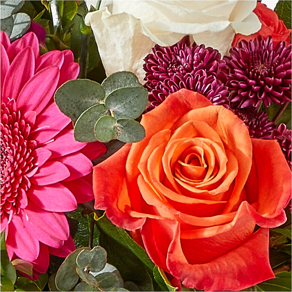 Smell the Roses Bouquet –  Safeway, Pleasanton CA