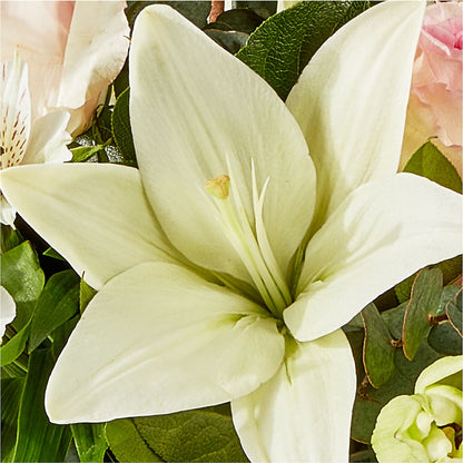 Ballet Slippers Bouquet –  Safeway, Pleasanton CA