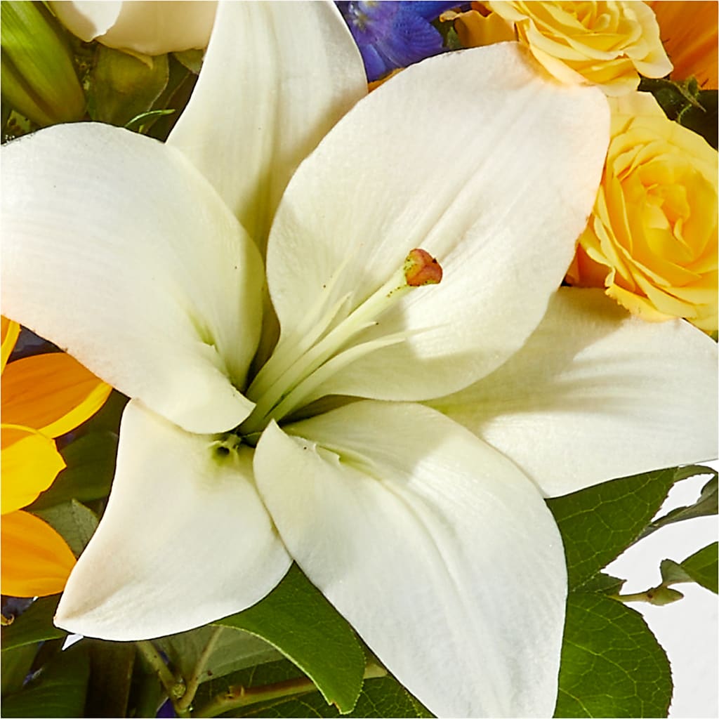 Wonderfully Sunny Bouquet –  Safeway, Pleasanton CA