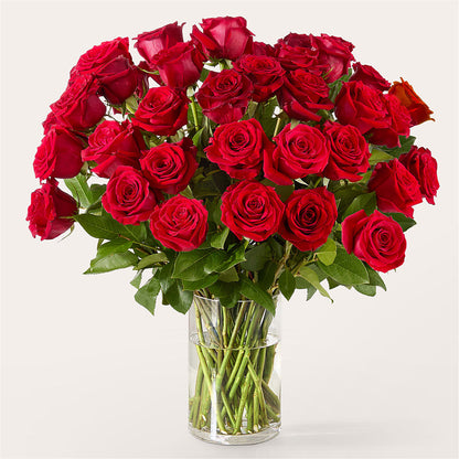 The One Red Rose Bouquet –  Safeway, Pleasanton CA